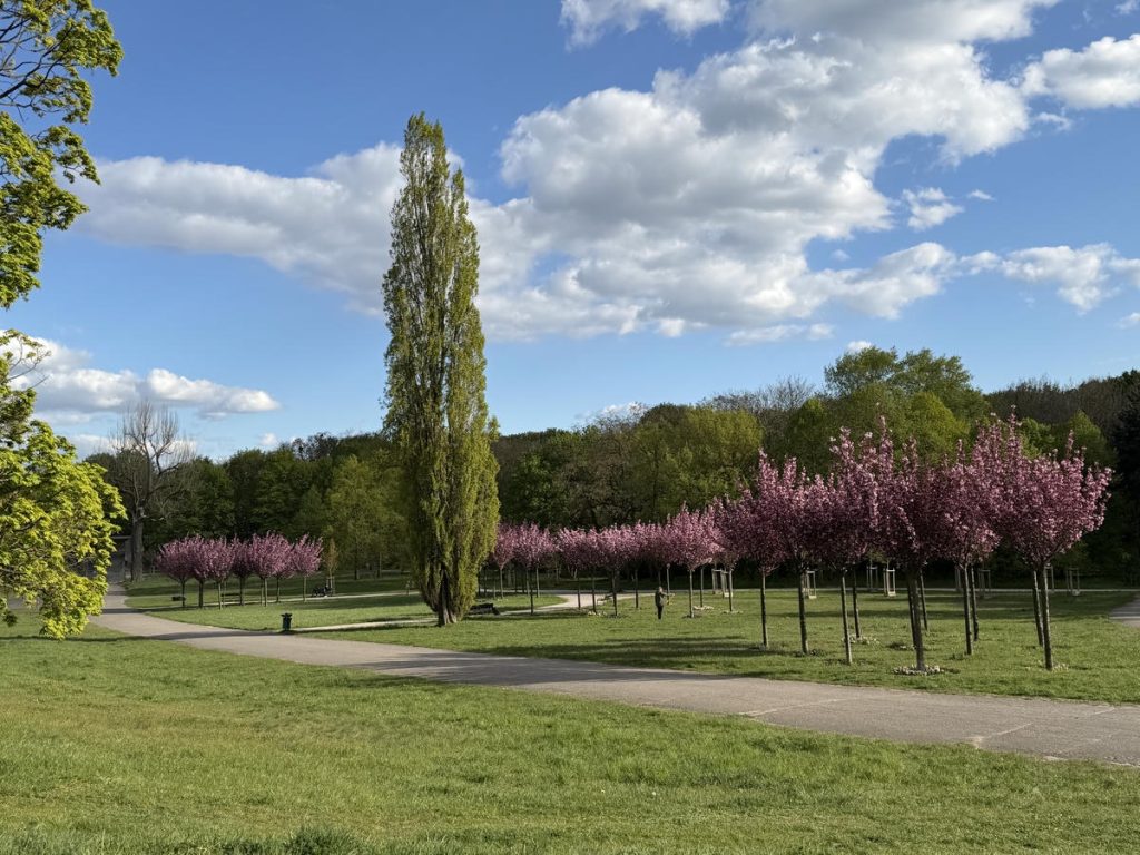 Zdjęcia z Parku Cytadela - Poznań