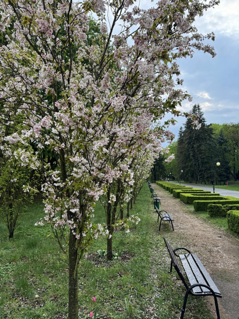 Zdjęcia z Parku Cytadela - Poznań